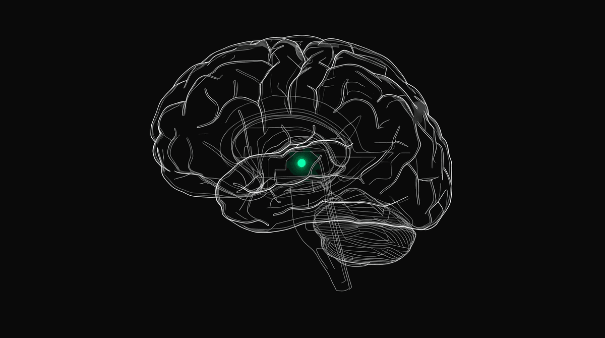 What AI-Native Engineering Actually Means